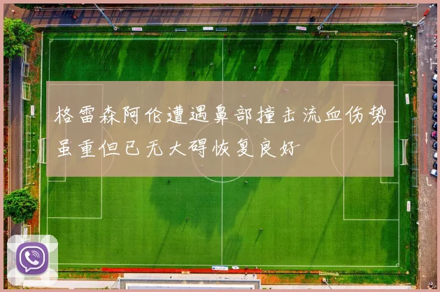 格雷森阿伦遭遇鼻部撞击流血伤势虽重但已无大碍恢复良好