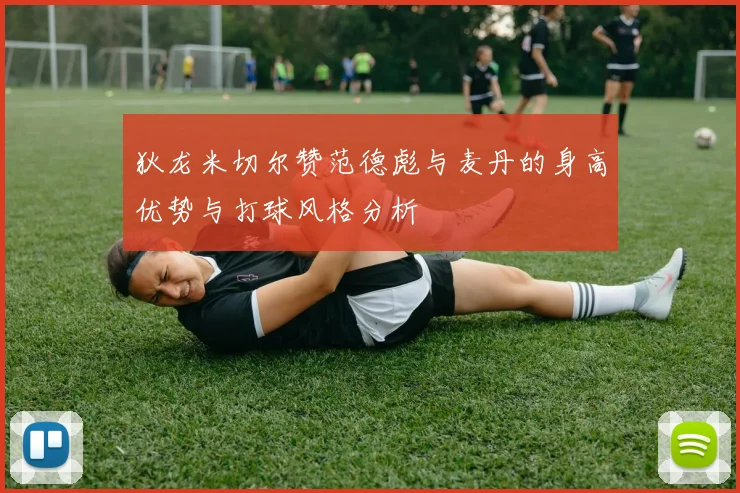 狄龙米切尔赞范德彪与麦丹的身高优势与打球风格分析